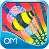 Attraction icon