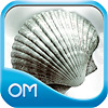 Miracle icon